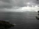 ./images/koeye/fitz-hugh/20180701/fitz-hugh20180701_113501.jpg