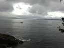 ./images/koeye/fitz-hugh/20180701/fitz-hugh20180701_114501.jpg