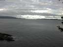 ./images/koeye/fitz-hugh/20180702/fitz-hugh20180702_062502.jpg