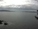 ./images/koeye/fitz-hugh/20180702/fitz-hugh20180702_153501.jpg