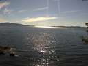./images/koeye/fitz-hugh/20180704/fitz-hugh20180704_165501.jpg