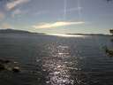 ./images/koeye/fitz-hugh/20180704/fitz-hugh20180704_170501.jpg