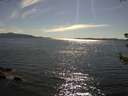 ./images/koeye/fitz-hugh/20180704/fitz-hugh20180704_171501.jpg