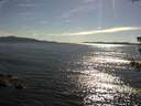 ./images/koeye/fitz-hugh/20180704/fitz-hugh20180704_174501.jpg
