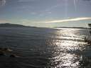 ./images/koeye/fitz-hugh/20180704/fitz-hugh20180704_175001.jpg