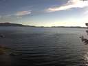 ./images/koeye/fitz-hugh/20180704/fitz-hugh20180704_195001.jpg