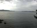 ./images/koeye/fitz-hugh/20180705/fitz-hugh20180705_062502.jpg
