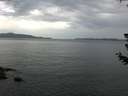 ./images/koeye/fitz-hugh/20180705/fitz-hugh20180705_064502.jpg