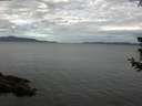./images/koeye/fitz-hugh/20180705/fitz-hugh20180705_091502.jpg