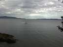 ./images/koeye/fitz-hugh/20180705/fitz-hugh20180705_095002.jpg