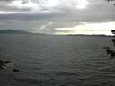 ./images/koeye/fitz-hugh/20180705/fitz-hugh20180705_185502.jpg