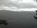 ./images/koeye/fitz-hugh/20180706/fitz-hugh20180706_044501.jpg