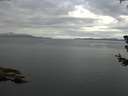 ./images/koeye/fitz-hugh/20180706/fitz-hugh20180706_081501.jpg