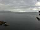 ./images/koeye/fitz-hugh/20180706/fitz-hugh20180706_082001.jpg