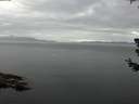 ./images/koeye/fitz-hugh/20180706/fitz-hugh20180706_082502.jpg