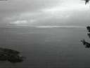./images/koeye/fitz-hugh/20180707/fitz-hugh20180707_043502.jpg