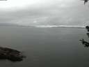 ./images/koeye/fitz-hugh/20180707/fitz-hugh20180707_044502.jpg