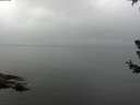 ./images/koeye/fitz-hugh/20180707/fitz-hugh20180707_073502.jpg