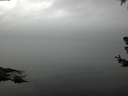 ./images/koeye/fitz-hugh/20180707/fitz-hugh20180707_075502.jpg