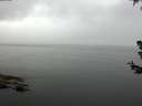 ./images/koeye/fitz-hugh/20180707/fitz-hugh20180707_082502.jpg