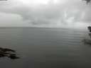 ./images/koeye/fitz-hugh/20180707/fitz-hugh20180707_085001.jpg