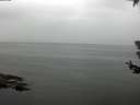 ./images/koeye/fitz-hugh/20180707/fitz-hugh20180707_090501.jpg