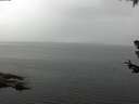 ./images/koeye/fitz-hugh/20180707/fitz-hugh20180707_091001.jpg