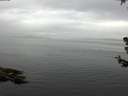 ./images/koeye/fitz-hugh/20180707/fitz-hugh20180707_094501.jpg