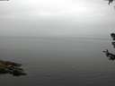 ./images/koeye/fitz-hugh/20180707/fitz-hugh20180707_095501.jpg