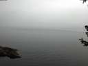 ./images/koeye/fitz-hugh/20180707/fitz-hugh20180707_101501.jpg