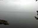 ./images/koeye/fitz-hugh/20180707/fitz-hugh20180707_102001.jpg