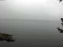 ./images/koeye/fitz-hugh/20180707/fitz-hugh20180707_102501.jpg