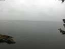 ./images/koeye/fitz-hugh/20180707/fitz-hugh20180707_104001.jpg