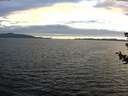 ./images/koeye/fitz-hugh/20180709/fitz-hugh20180709_213501.jpg