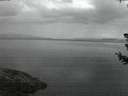 ./images/koeye/fitz-hugh/20180710/fitz-hugh20180710_044001.jpg