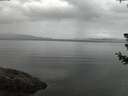 ./images/koeye/fitz-hugh/20180710/fitz-hugh20180710_044501.jpg