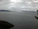 ./images/koeye/fitz-hugh/20180710/fitz-hugh20180710_052501.jpg