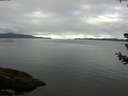 ./images/koeye/fitz-hugh/20180710/fitz-hugh20180710_073501.jpg