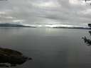 ./images/koeye/fitz-hugh/20180710/fitz-hugh20180710_075501.jpg
