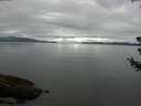 ./images/koeye/fitz-hugh/20180710/fitz-hugh20180710_080001.jpg
