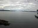 ./images/koeye/fitz-hugh/20180710/fitz-hugh20180710_085001.jpg