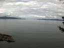 ./images/koeye/fitz-hugh/20180710/fitz-hugh20180710_095502.jpg
