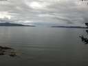 ./images/koeye/fitz-hugh/20180710/fitz-hugh20180710_104501.jpg