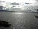 ./images/koeye/fitz-hugh/20180710/fitz-hugh20180710_164501.jpg