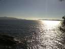 ./images/koeye/fitz-hugh/20180712/fitz-hugh20180712_175002.jpg