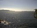 ./images/koeye/fitz-hugh/20180713/fitz-hugh20180713_155501.jpg