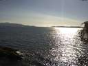 ./images/koeye/fitz-hugh/20180713/fitz-hugh20180713_175002.jpg