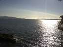 ./images/koeye/fitz-hugh/20180713/fitz-hugh20180713_175502.jpg