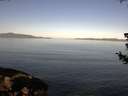 ./images/koeye/fitz-hugh/20180714/fitz-hugh20180714_085501.jpg