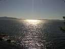 ./images/koeye/fitz-hugh/20180714/fitz-hugh20180714_165002.jpg